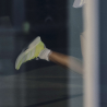 adidas Adizero Boston 13 - Dámské běžecké boty | Hardloop