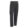 adidas Terrex Xploric Clima365 Cargo Pants - Wandelbroek - Heren | Hardloop