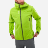 Macaw Green
