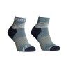 Icy Shore