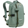Chlorophyll Green / Seaweed Green