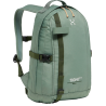 Chlorophyll Green / Seaweed Green