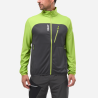 Macaw Green / Tarmac