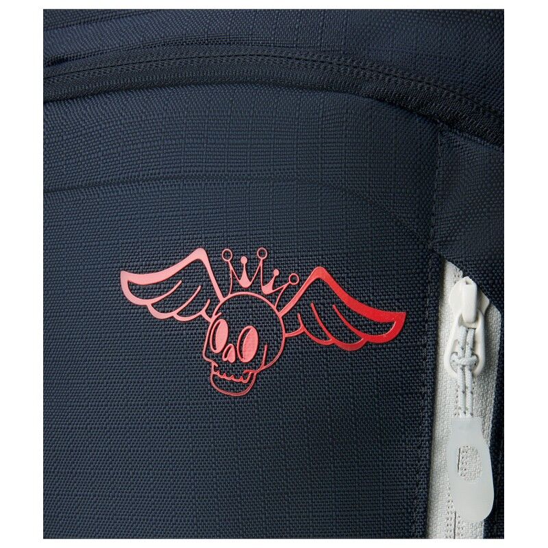 Dakine Heli Pro 20L - Hiihtoreppu - Miehet