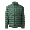 Chlorophyll Green