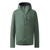 Chlorophyll Green
