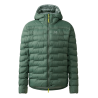 Chlorophyll Green
