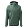 Chlorophyll Green