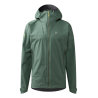Chlorophyll Green