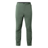 Chlorophyll Green