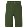 Seaweed Green
