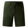 Seaweed Green