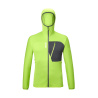 Macaw Green