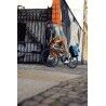 Ortlieb Back-Roller Design - Pannier | Hardloop