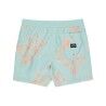 Billabong Vacay Lb - Pánské Koupací kraťasy | Hardloop