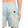 Billabong Vacay Lb - Pánské Koupací kraťasy | Hardloop