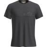icebreaker Merinos Core SS Tee Single Line Camp - Merinoshirt - Herren | Hardloop