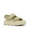 Dusty Twill / Light Aloe