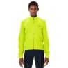 Neon Yellow