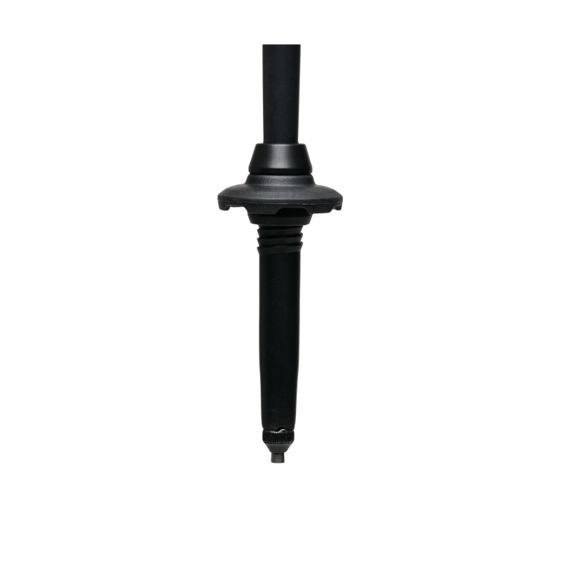 Black Diamond Alpine Carbon Cork - Vaellussauva