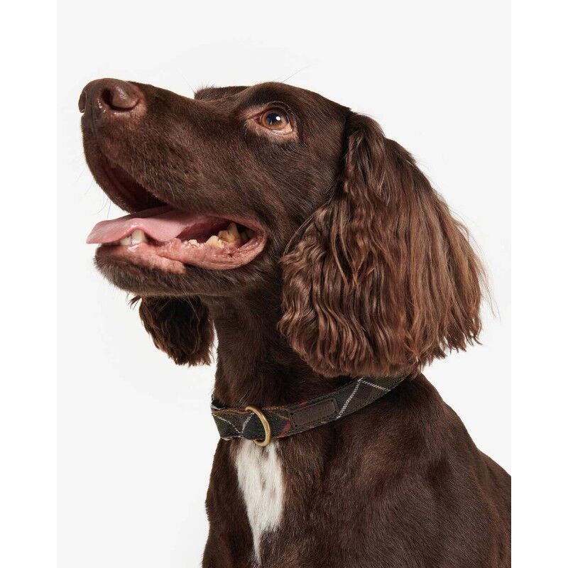 Barbour Tartan Webbing Dog Collar - Manteau pour chien | Hardloop
