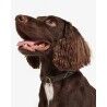 Barbour Tartan Webbing Dog Collar - Manteau pour chien | Hardloop