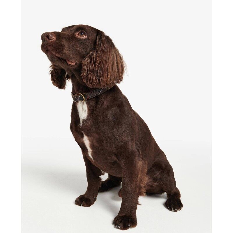 Barbour Tartan Webbing Dog Collar - Manteau pour chien | Hardloop
