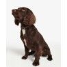 Barbour Tartan Webbing Dog Collar - Manteau pour chien | Hardloop