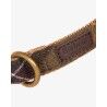Barbour Tartan Webbing Dog Collar - Dog coat | Hardloop