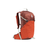 Burnt Sienna
