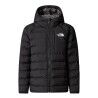 TNF Black / Smoked Pearl