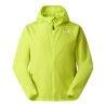 Fizz Lime
