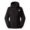 TNF Black
