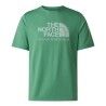 Dimmed Algae
