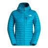 Deep Teal