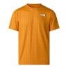 Dust Orange