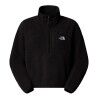 TNF Black