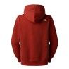 The North Face Drew Peak Regular Hoodie - Hoodie - Heren | Hardloop