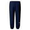 The North Face Simple Dome Regular Tapered Jogger - Pantalon survêtement homme | Hardloop