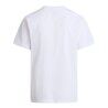 The North Face Evolution Simple Dome Regular Short Sleeve - T-shirt - Men's | Hardloop