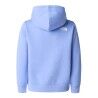 The North Face Brand Proud Relaxed Hoodie - Hoodie - Kid's | Hardloop