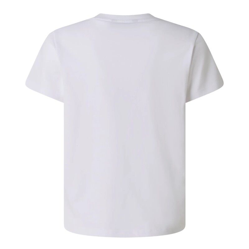 The North Face Liquid Logo Reg SS Tee - T-shirt enfant | Hardloop