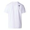 The North Face Evolution Box Half Dome Regular Short - T-shirt homme | Hardloop