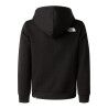 The North Face Teen Simple Dome Light Reg Hoodie - Hoodie - Kid's | Hardloop