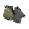 Dark Sage