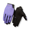 Purple Haze