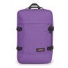 Vineyard Purple