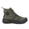 Olive Night