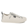 Whitecap Gray