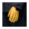 Black Diamond Tour LT Gloves - Hochtourenhandschuhe | Hardloop